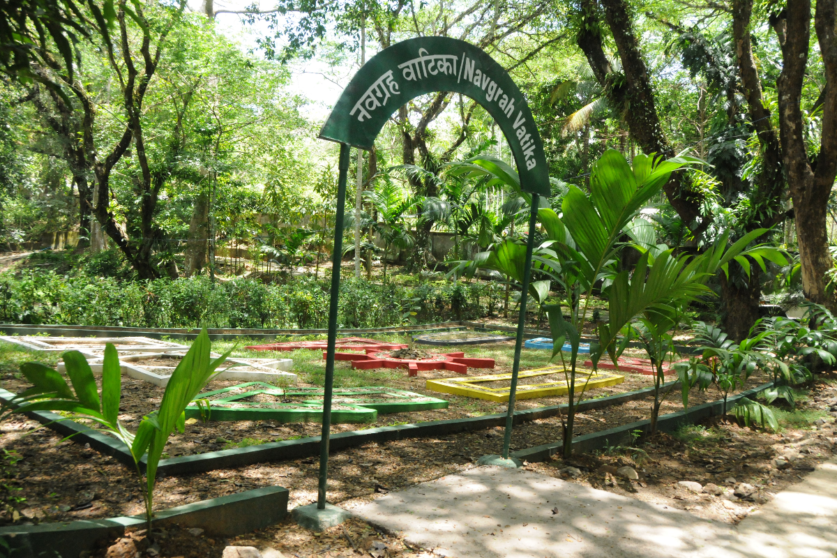  Associated Garden