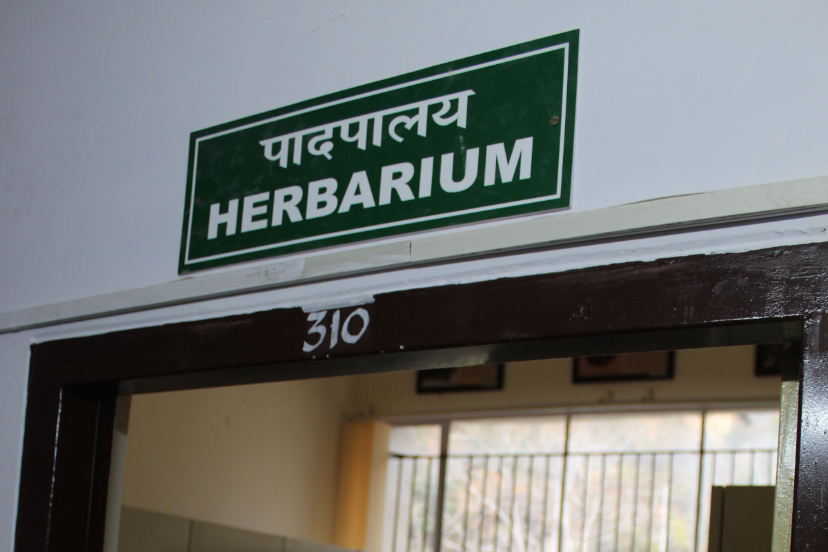  Herbarium