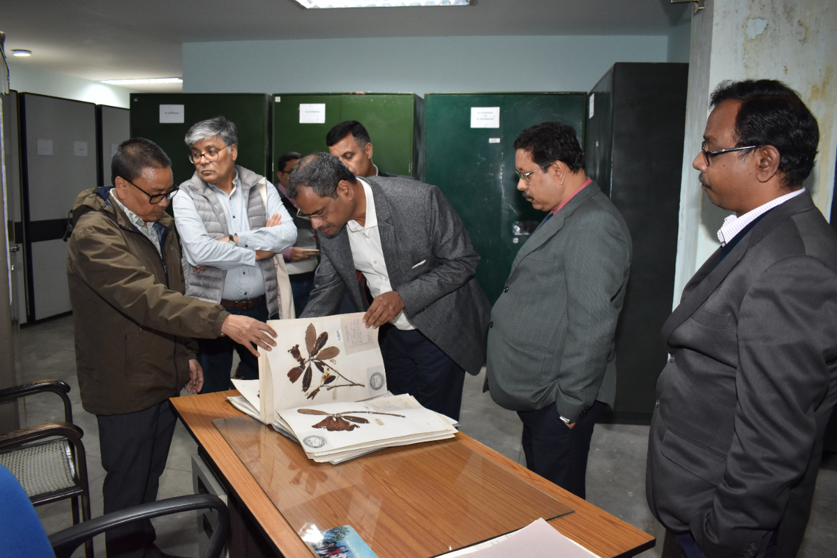 A team of dignitaries led by Prof. S.K. Barik, Professor, NEHU, Shillong (former director, CSIR-NBRI, Lucknow) visited BSI SHRC, Gangtok on 02-05-2023