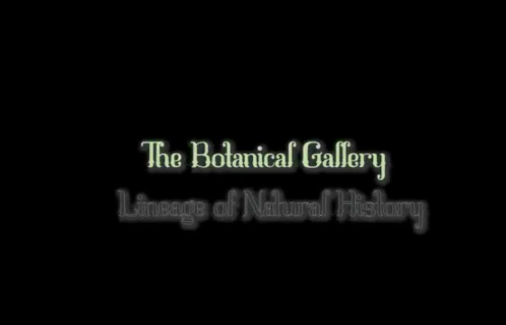 The Botanical Gallery Lineage of Natural History