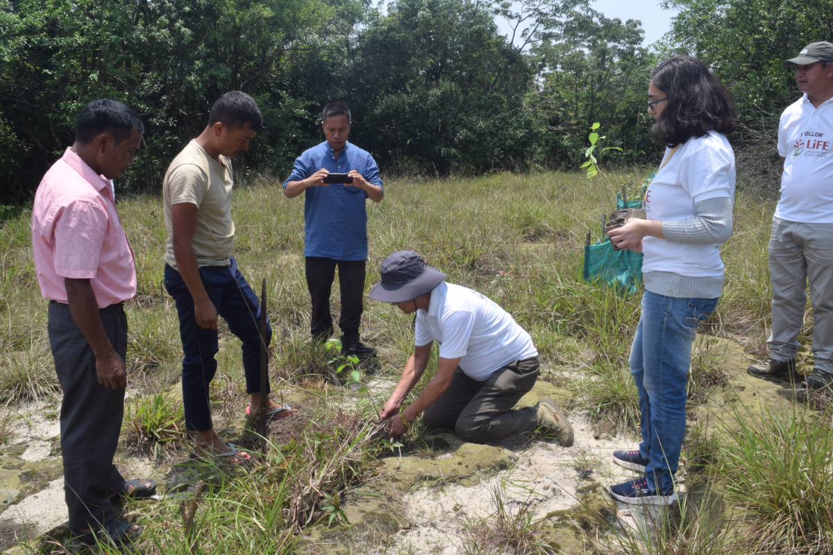 Plantation on the occasion of International Day for Biological Diversity on 22-05-2024 at Mawsynram, Meghalaya by ERC, Shillong