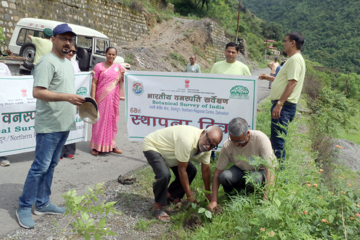 Celebration of 68th Foundation Day of BSI, NRC on 01.08.2024 at BSI, NRC, Dehradun