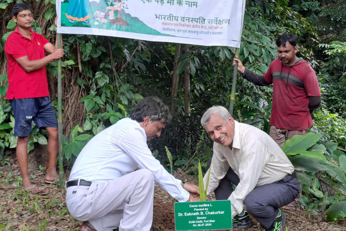 Celebration of 75 th Van Mahotsav-2024 with a theme of Ek Ped lagao Maa ke Naam, BSI, ANRC, Port Blair on 26.07.2024