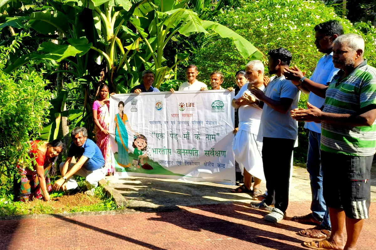 BSI, ANRC organized tree plantation programe at Satsang Vihar, Lambaline, South Andaman.