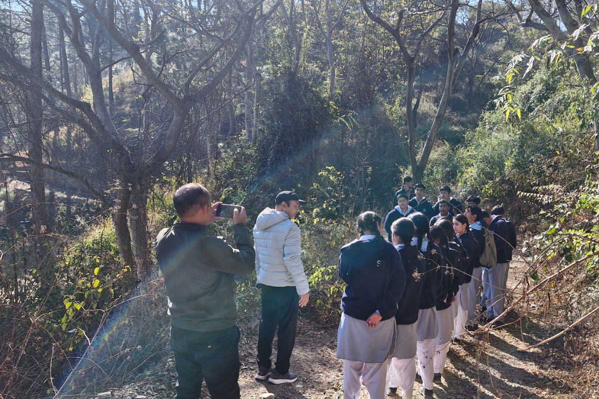 Celebration of  International Mountain Day by BSI, HAWHRC, Solan (H.P.) on 11.12.2024