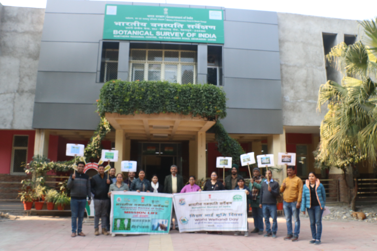 Celebration of World Wet Land Day at BSI-NRC-Dehradun on 2nd February-2025