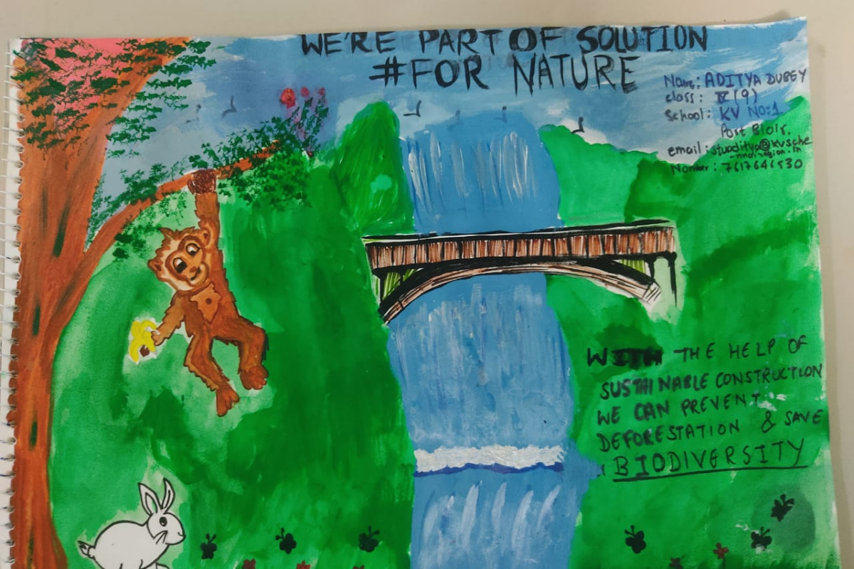 Marine Education Poster Contest - Dolphin Encounters