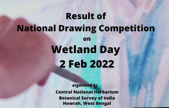 Result of WETLAND DAY Drawing Competition, 2022