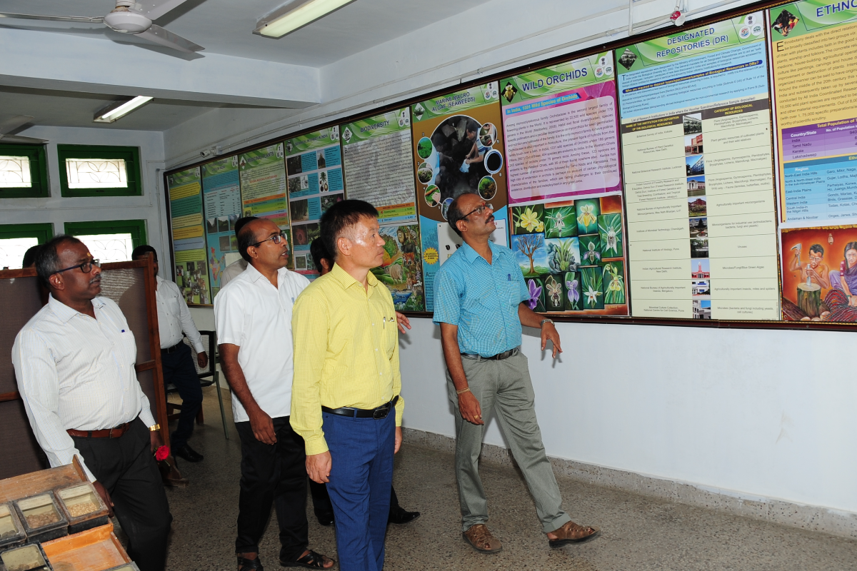 Director, BSI inspecting the Museum during H.o.O meeting at BSI,SRC,Coimbatore on 06.05.2022
