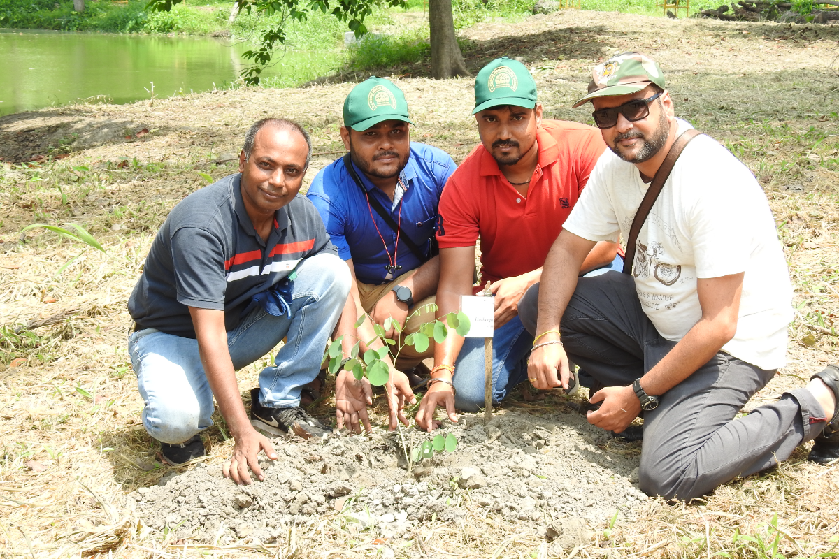 Plantation of Dalbergia latifolia on World Environment Day on 05.06.2022