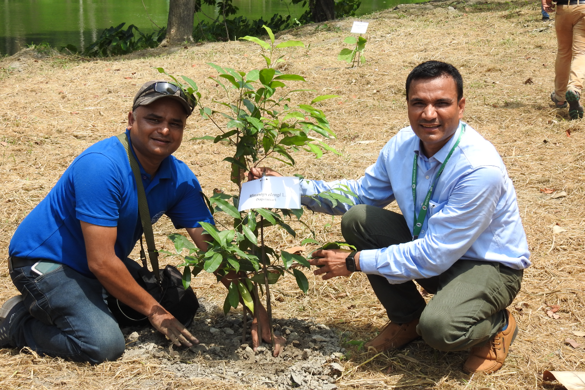 Plantation of Mimusops elengi on World Environment Day on 05.06.2022