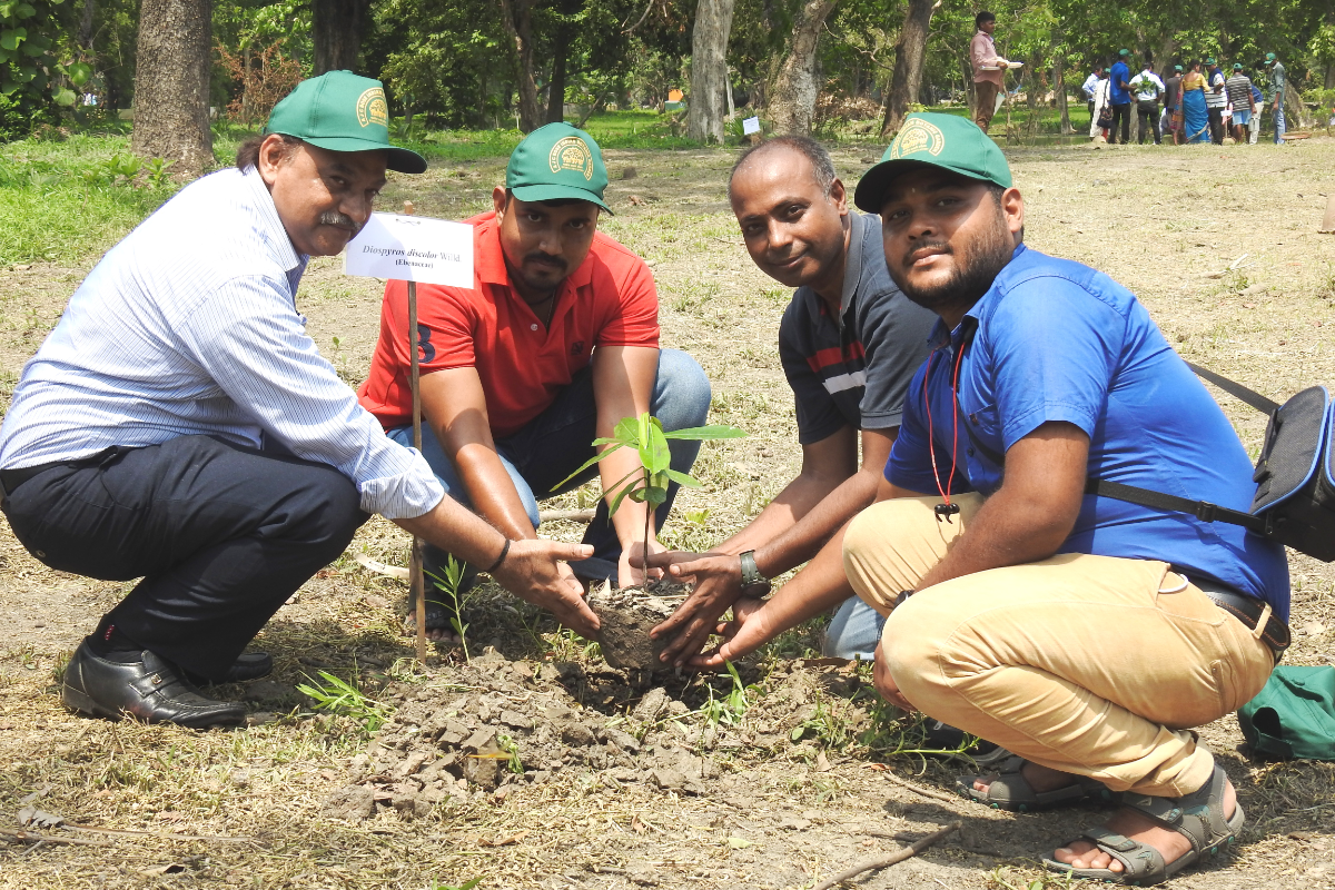 Plantation of Diospyros discolor on World Environment Day on 05.06.2022