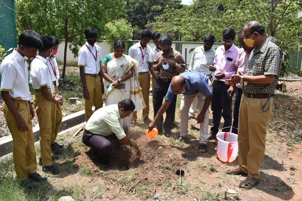 H.o.O., BSI, SRC, Carrying out the plantation of Sapling at WED-2022.