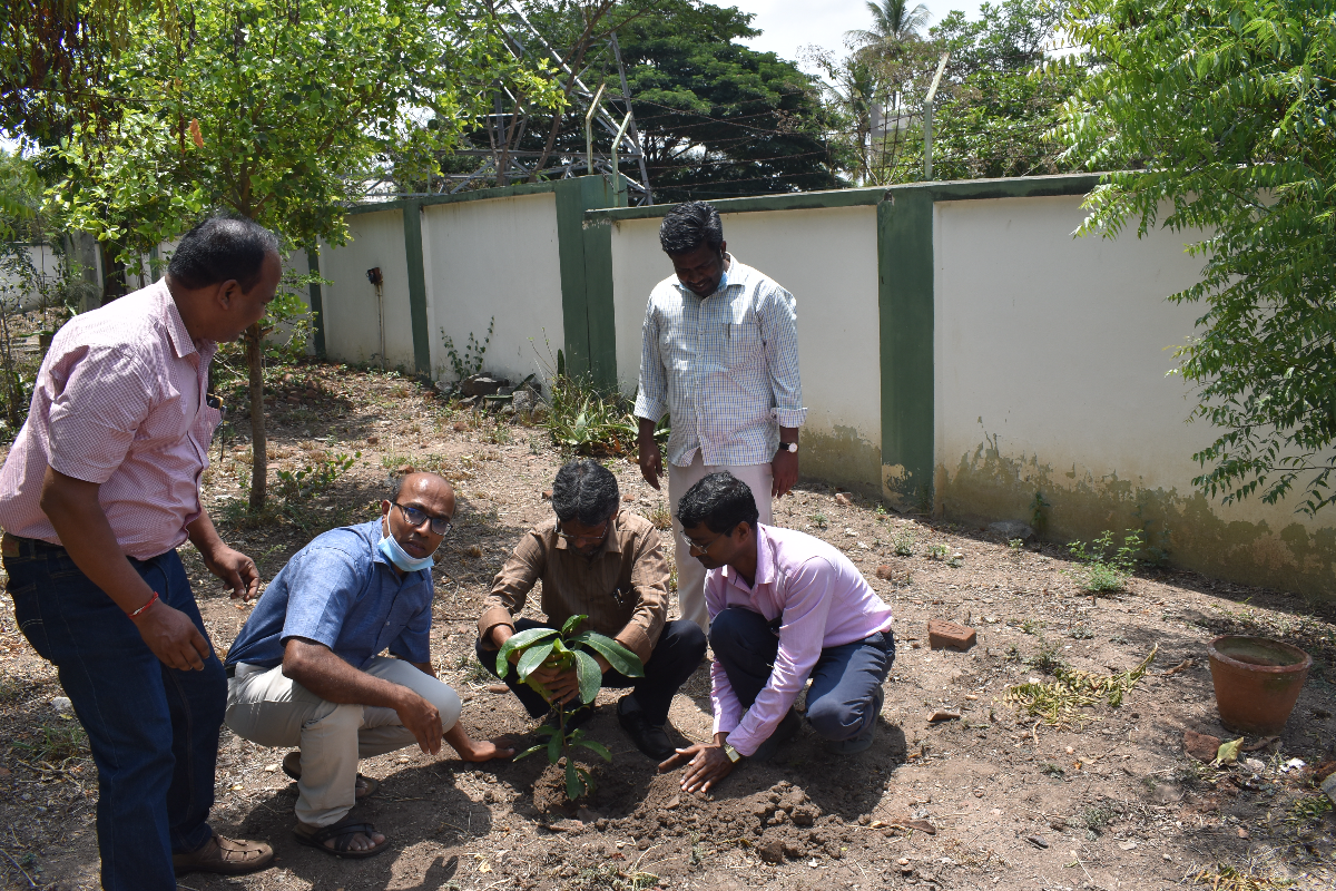 Scientists carrying out the plantation of Saplings at WED- 2022.