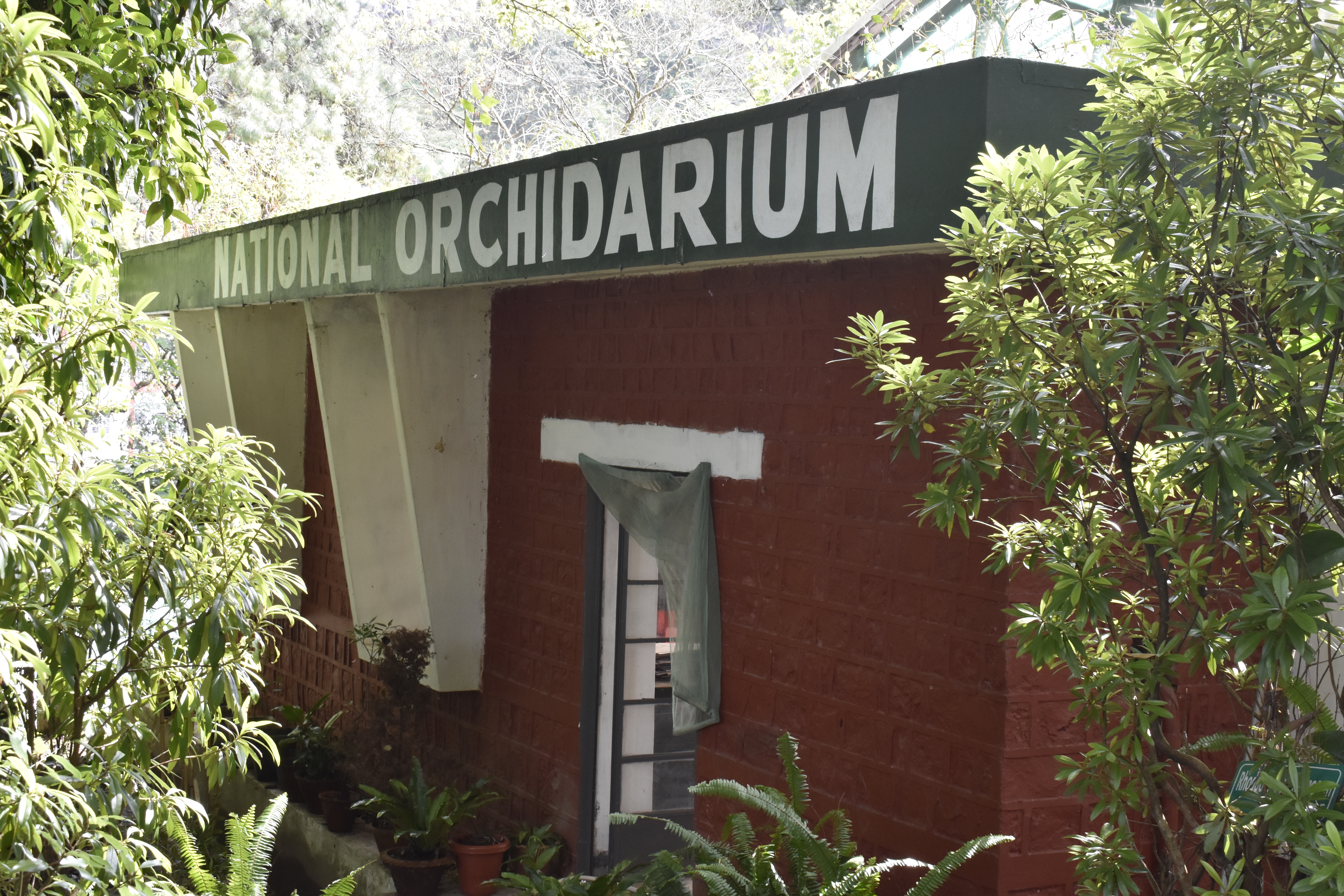 National-Orchidarium-shilong